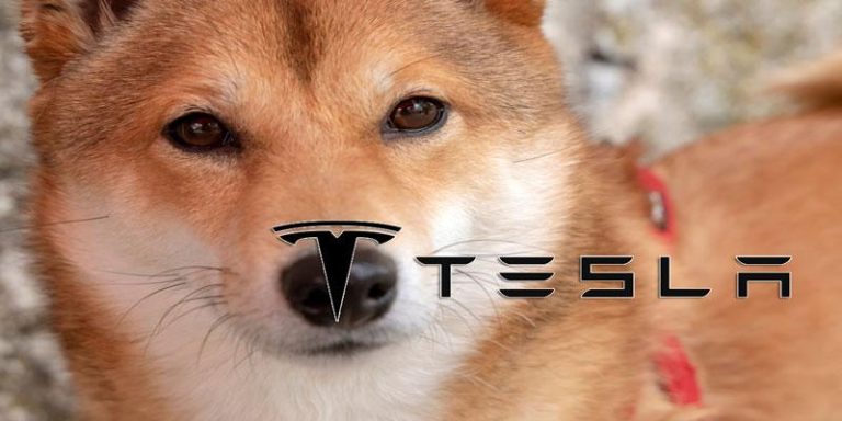 Tesla dogecoin price prediction | twitter