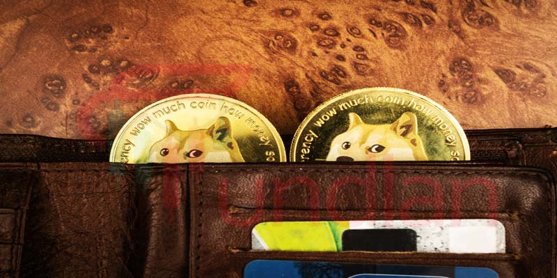 tesla-dogecoin-wallets