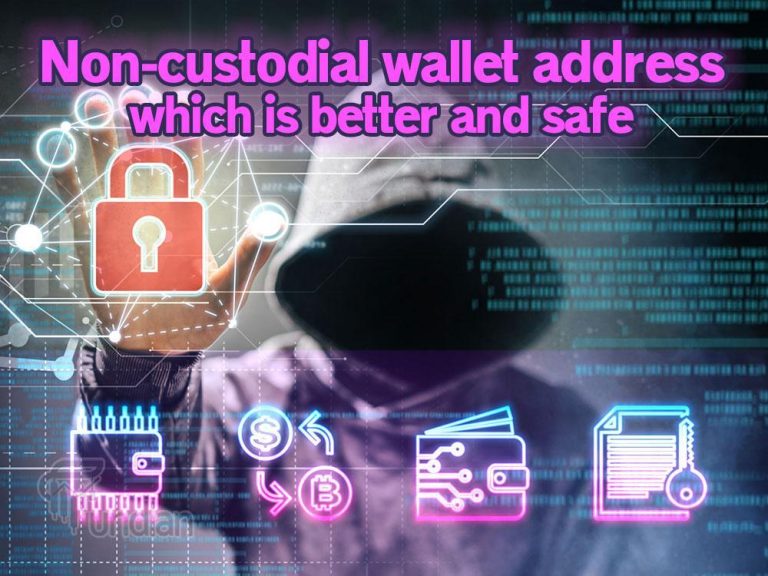 Non-custodial wallet address list