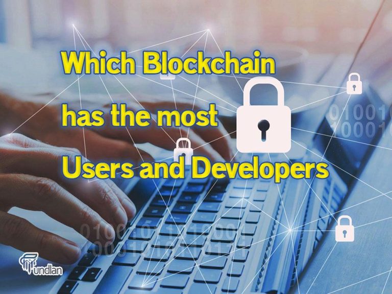 which blockchain has the most users and developers