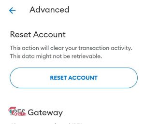 2. On the advanced section click on reset account