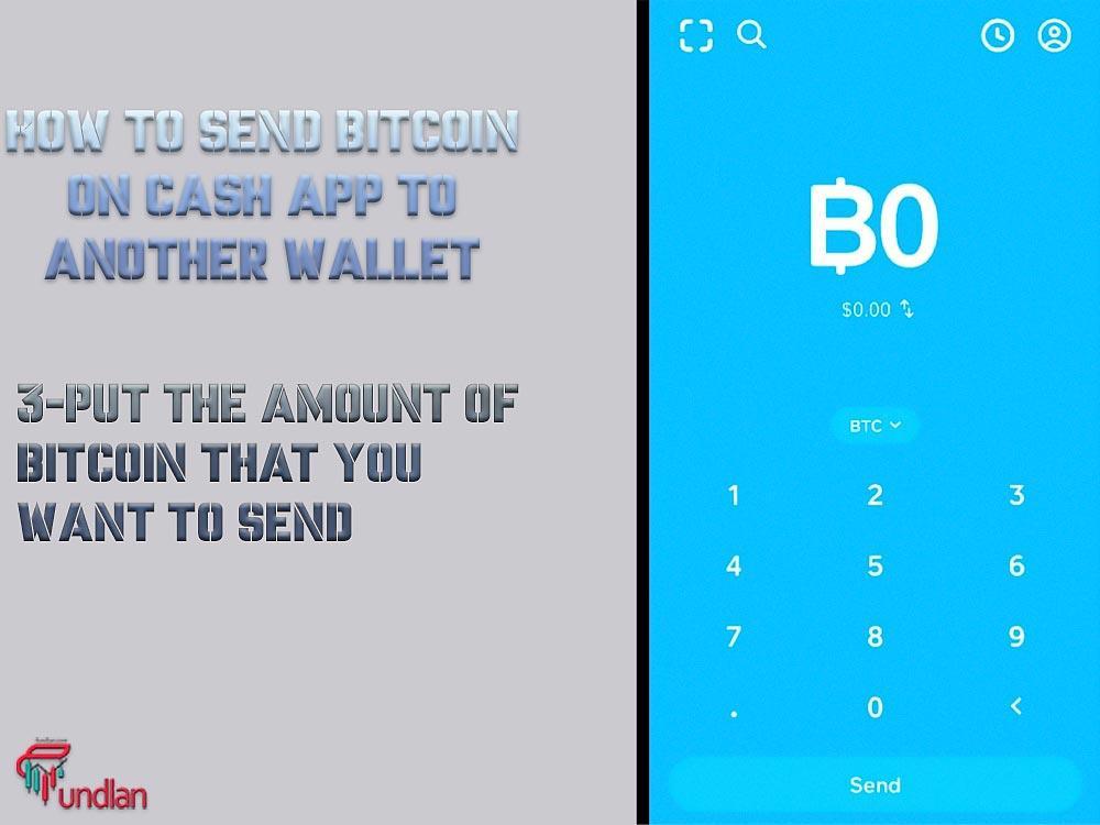 Put the amount of bitcoin that you want to send
