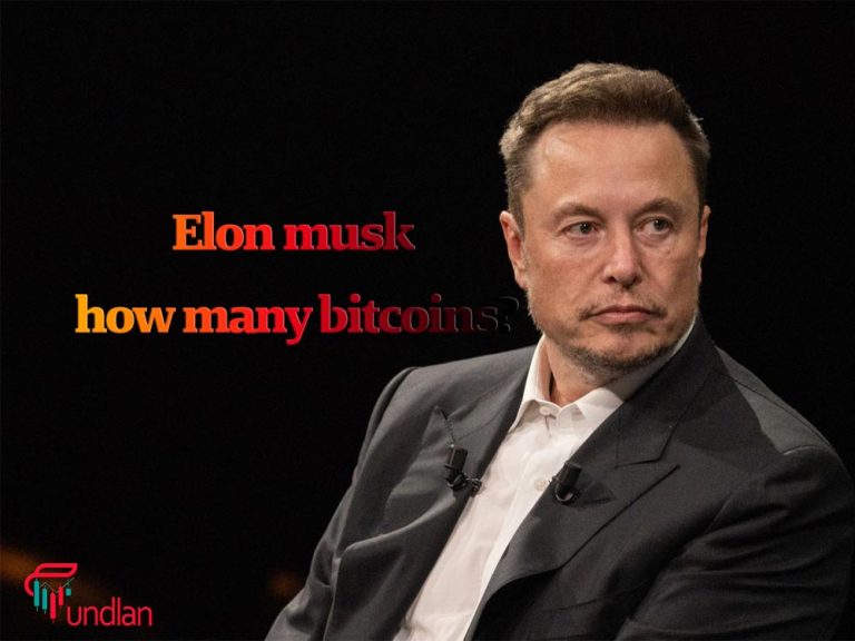 elon musk how many bitcoins does have?